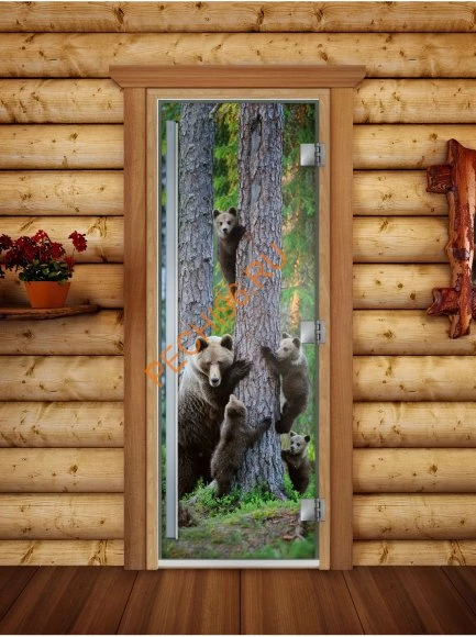 Дверь стеклянная DoorWood «Престиж», 700х1900мм, с фотопечатью «Мишки в лесу»
