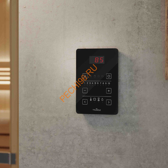 Пульт управления TyloHelo Pure