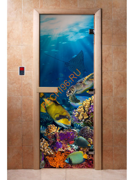 Дверь стеклянная DoorWood с фотопечатью «Голубая лагуна» Дверь стеклянная DoorWood с фотопечатью «Голубая лагуна»