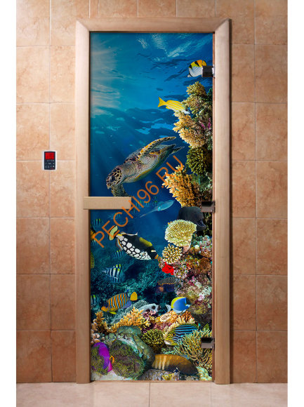 Дверь стеклянная DoorWood с фотопечатью «Коралловый риф» Дверь стеклянная DoorWood с фотопечатью «Коралловый риф»