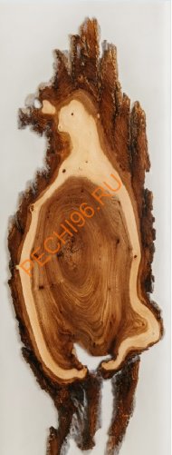 Дверь стеклянная DoorWood с фотопечатью «СЛЭБ-15» Дверь стеклянная DoorWood с фотопечатью «СЛЭБ-15»