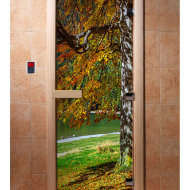 Дверь стеклянная DoorWood с фотопечатью «Краски осени»