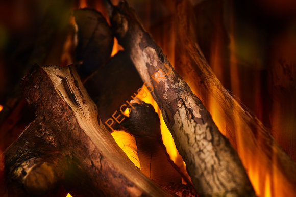 Электрокамин British Fires New Forest 870 with Deluxe Real logs 870 мм