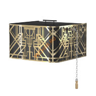 Обливное устройство EVEREST BLACK "GALAXY" GOLD 35л Обливное устройство EVEREST BLACK "GALAXY" GOLD 35л