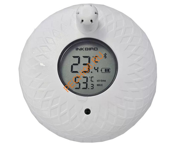 Термометр PolarSPA