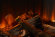 Электрокамин British Fires New Forest 1200 with Deluxe Real logs 1200 мм