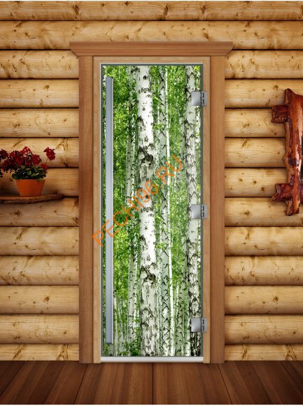 Дверь стеклянная DoorWood «Престиж», 700х1900мм, с фотопечатью «Березовая роща»