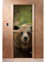 Дверь стеклянная DoorWood с фотопечатью «Хозяин тайги» Дверь стеклянная DoorWood с фотопечатью «Хозяин тайги»