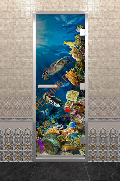 Дверь стеклянная DoorWood Хамам с фотопечатью «Коралловый риф», 1900х700 мм