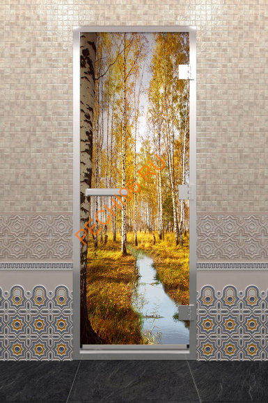 Дверь стеклянная DoorWood Хамам с фотопечатью «Золотая осень», 1900х700 мм