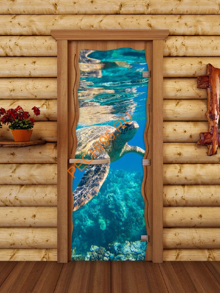 Дверь стеклянная ALDO КРУИЗ «Водный мир» коробка бук