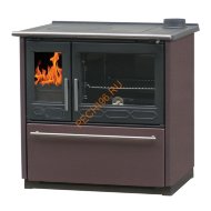 Чугунная печь-плита PLAMEN TERMO GLAS