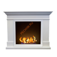 Биокамин в портале Русский огонь Турин