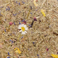 Панели для сауны SAUNABOARD